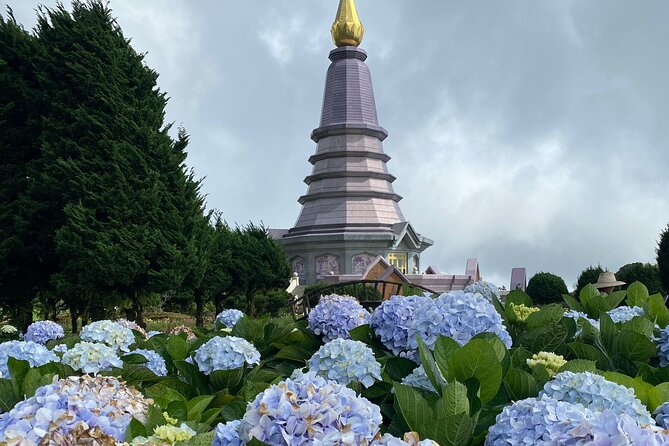 Full-Day Doi Inthanon National Park Tour with Trek and Pagodas - Coffee in Baan Mae Klang Luang
