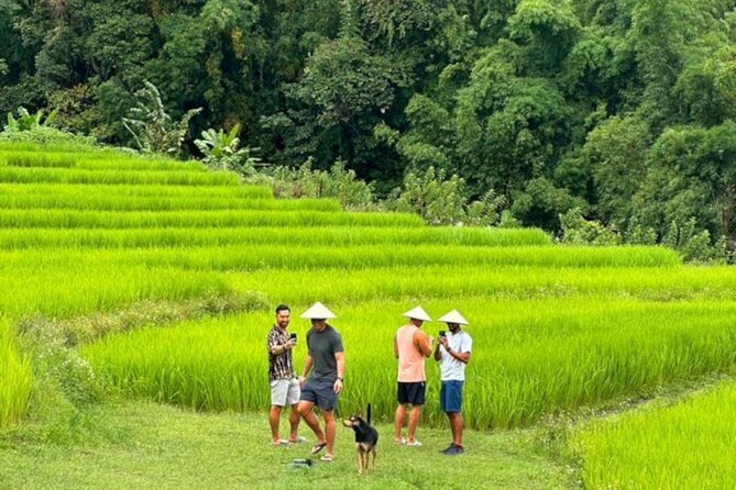 Full-Day Doi Inthanon National Park Tour with Trek and Pagodas - The long ride from Chiang Mai to the mountain