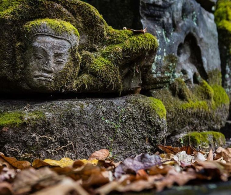 Full-Day Explore Angkor Temples Sunset Tour (with Lunch) - Ta Prohm, where roots take over the ruins