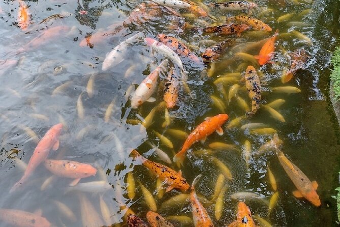 Full Day Oahu Tour with Byodo Temple & Waimea Waterfalls - Byodo-In Temple in the Valley of the Temples