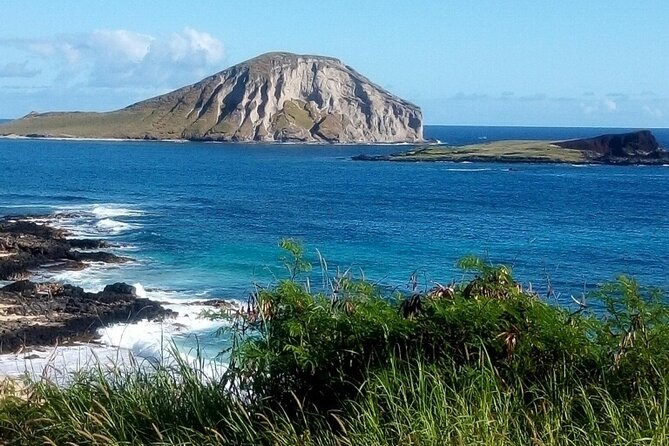 Full Day Oahu Tour with Byodo Temple & Waimea Waterfalls - Walking to Waimea Waterfall