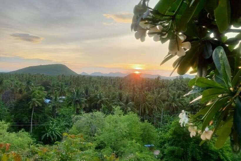 Full-day: Original bamboo train, Wat Banan, Phnom Sampov - What the $15 price really buys you