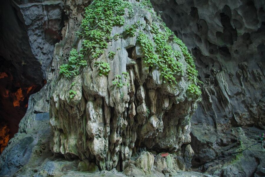 Full-Day Perfume Pagoda Private or Small-Group Tour - The Climb to Huong Tich Cave