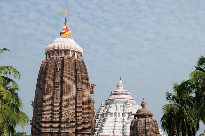 Full Day Tour of Konark Temple and Puri - Key points to know before booking