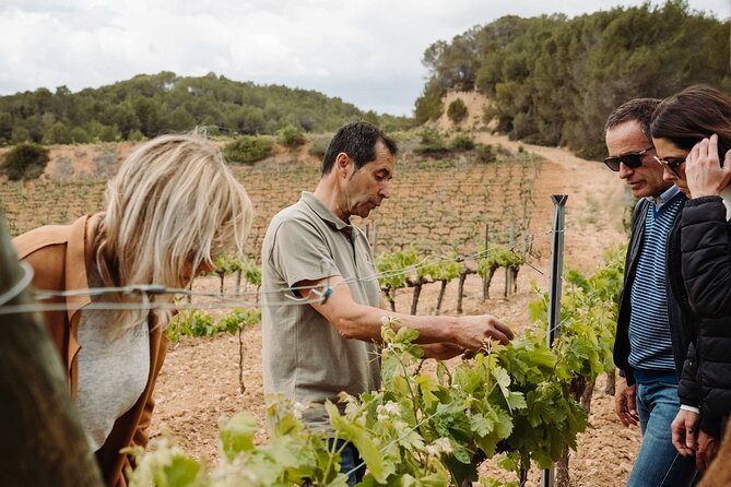 Full-Day Trip Barcelona to Montserrat Monastery & Cava Winery - Practical details before you go