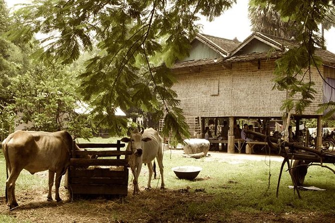 Full-day: Wat Banan. Old bamboo train. Bat Cave. Killing cave - Why this Battambang day works so well
