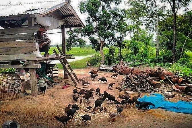 Full-day: Wat Banan. Old bamboo train. Bat Cave. Killing cave - Phnom Sampov, the Bat Cave, and the Killing Cave