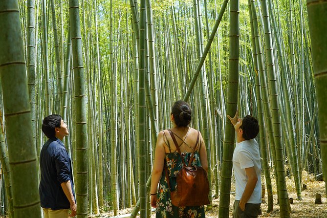 Fushimi Inari Hidden Hiking Tour (Private Option Available) - The forest trail, bamboo, and small shrines