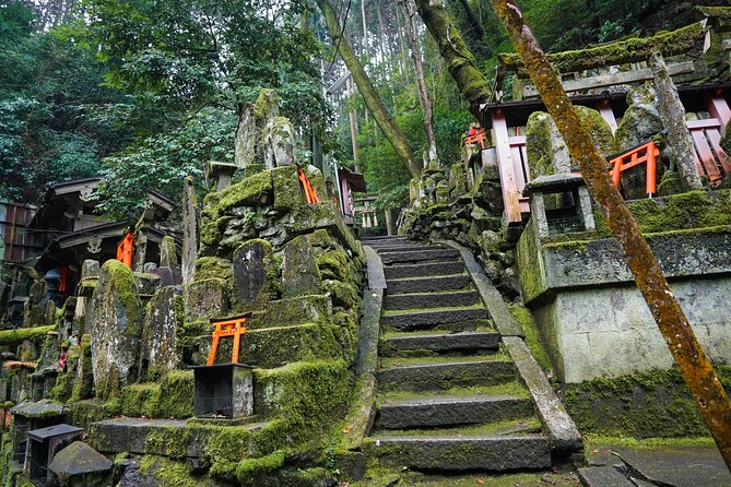 Fushimi Inari Hidden Hiking Tour (Private Option Available) - Small-group attention and guide quality