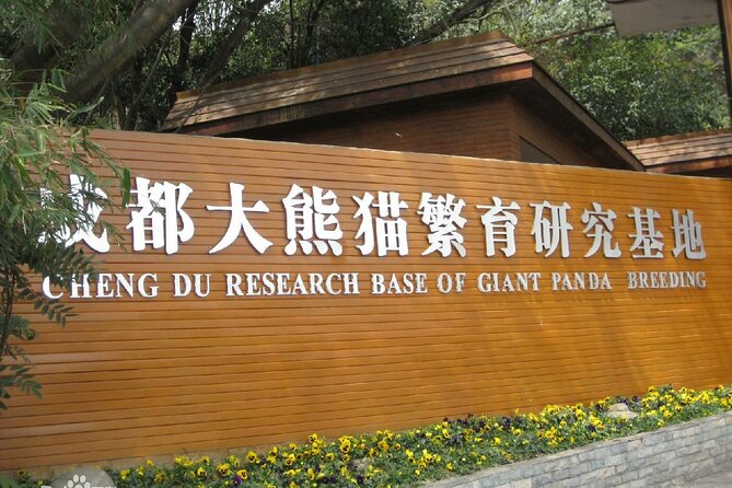 Giant Panda and Leshan Buddha Day Trip from Chengdu - Who should book this Chengdu day trip?