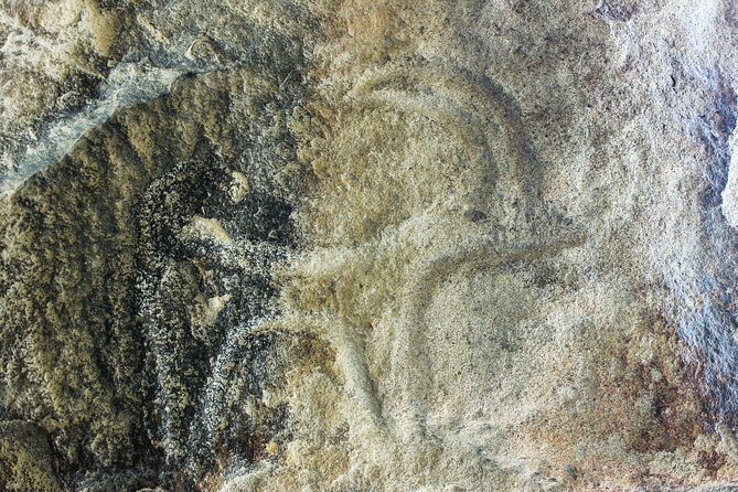 Gobustan, Mud volcanoes, Fire temple, Fire mountain PRIVATE TOUR - Who should book this private tour