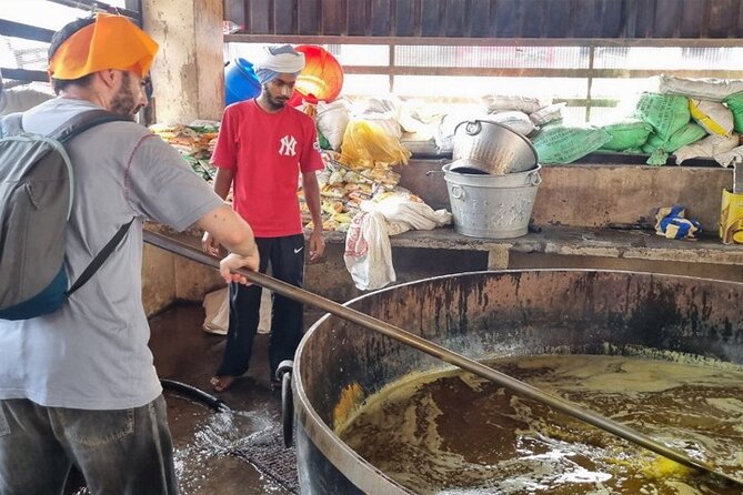 Golden Temple and Jallianwala Bagh Guided Tour - Dukh Bhanjani Ber Tree and the Amrit Sarovar