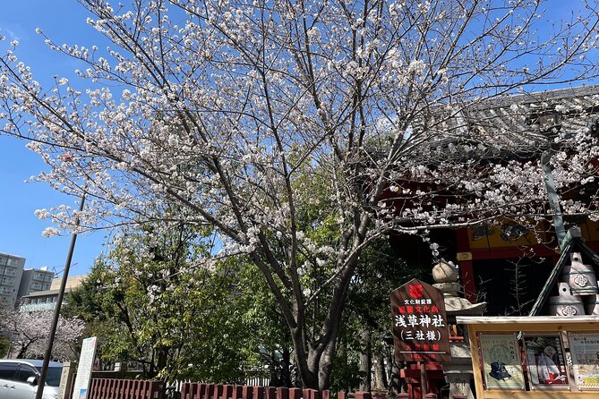 Goshuin Collecting tour at Asakusa Local Temples & Shrines, Tokyo - Sensō-ji begins with Asakusa’s big sights