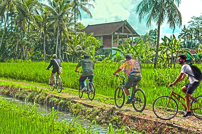 Grand Tour-Ek Phnom. Baset. Bamboo Train. Wat Banan. Phnom Sampov - The bat flight at dusk