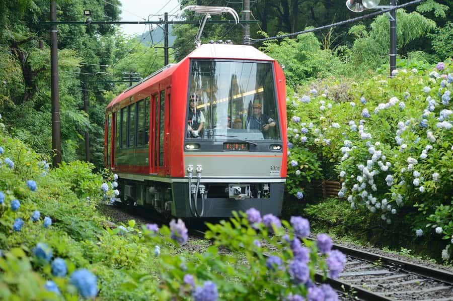 Hakone and Kamakura: 3-day Rail Pass - A good first day in Hakone: mountain railway to Owakudani