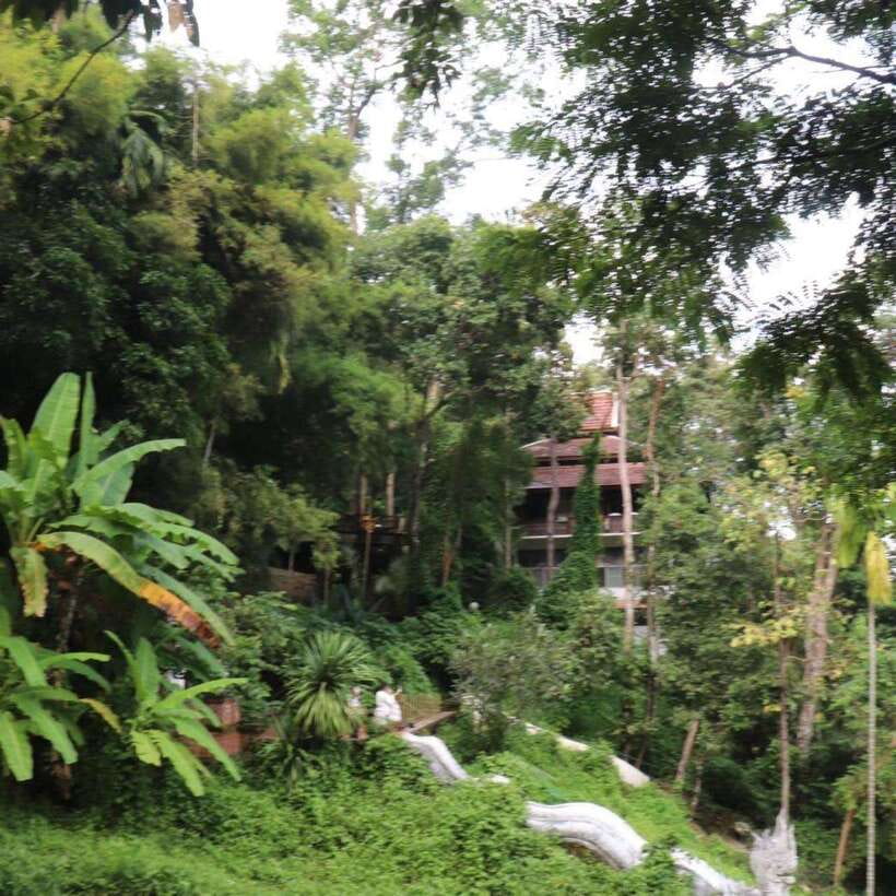 Half Day Morning Wat Pha Lat & Wat Phra That Doi Suthep Tour - Why the guide matters here