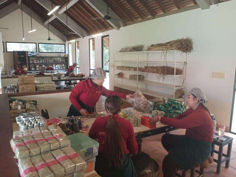 Half Day Trip: Silk Farm, Satcha, and Senteur d'Angkor Tour - What the $25 price really gets you