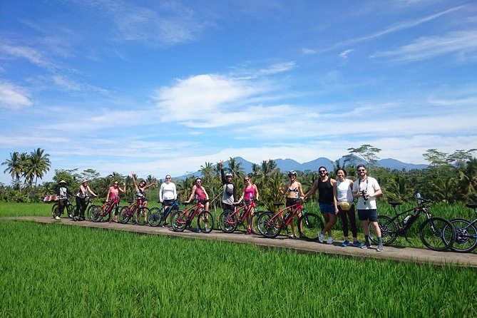 Half-Day Ubud Electric Cycling Tour to Tirta Empul Water Temple - Why an electric bike makes sense around Ubud