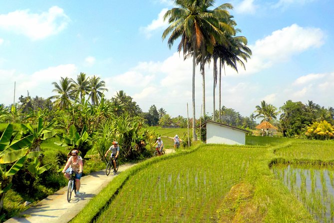 Half-Day Ubud Electric Cycling Tour to Tirta Empul Water Temple - What the $49 price really covers
