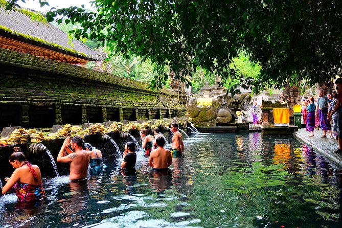 Half-Day Ubud Electric Cycling Tour to Tirta Empul Water Temple - Who will enjoy this ride most