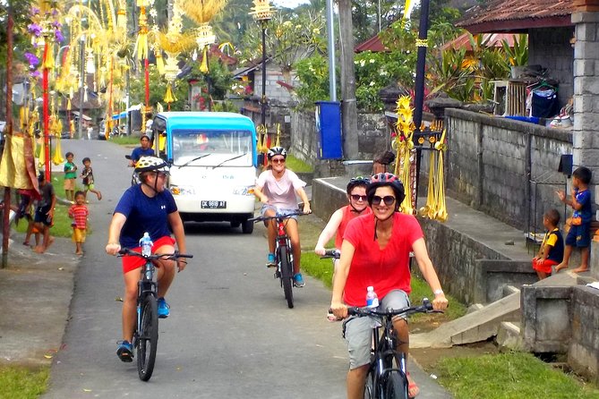 Half-Day Ubud Electric Cycling Tour to Tirta Empul Water Temple - Should you book the Ubud e-bike tour?