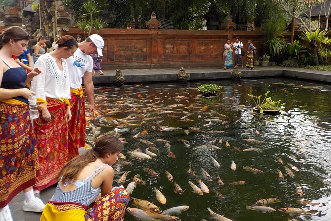 Half-Day Ubud Electric Cycling Tour to Tirta Empul Water Temple - Rice fields, village roads, and everyday Bali