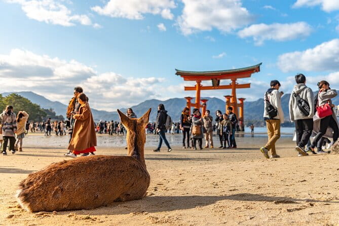 Hiroshima and Miyajima Day Trip with Itsukushima Shrine & Ferry - Key points to know before booking