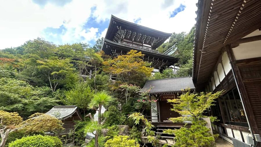 Hiroshima & Miyajima 6.5h Guided Tour – Dome, Park & Shrine - How the guides shape the experience
