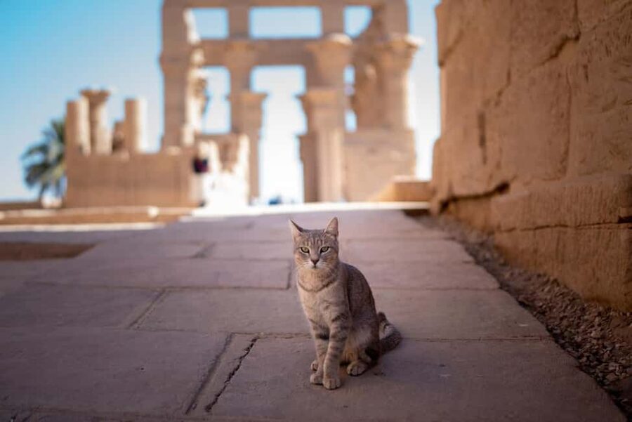 Hurghada: Luxor, Karnak Temple & Valley of the Kings - Key points at a glance