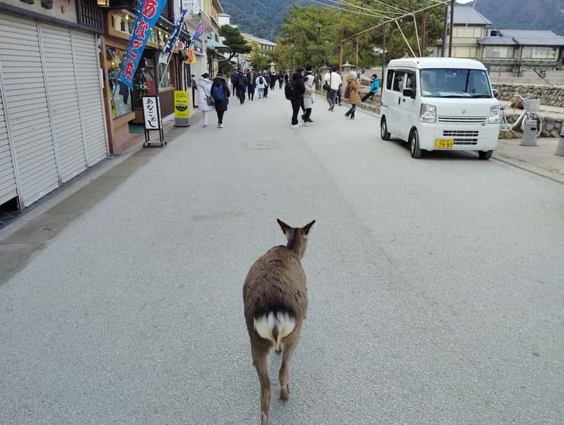 Itsukushima Shrine: Guided Tour with a Local - The five-story pagoda at the finish