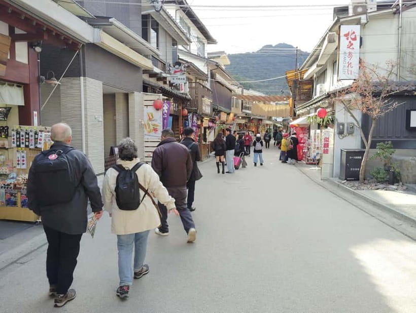 Itsukushima Shrine: Guided Tour with a Local - Who will get the most from this tour?