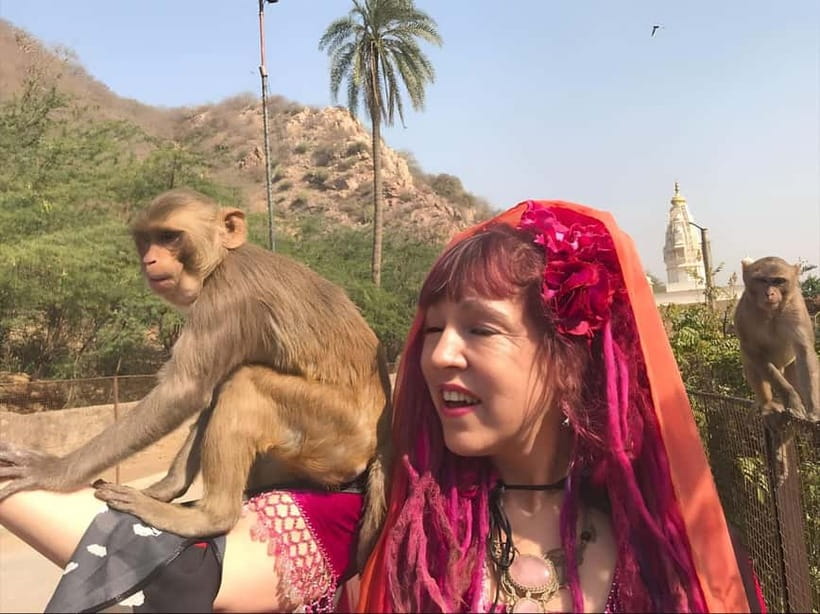 Jaipur: Explore City Sights, Amber Fort & Monkey Temple - Monkey Temple in the Aravalli Hills
