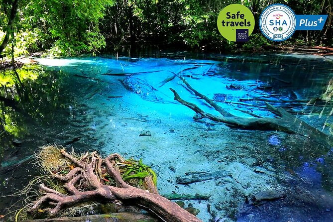 Jungle Tour to Emerald Pool, Krabi Hot Spring and Tiger Cave Temple - Emerald Pool and the longer forest walk