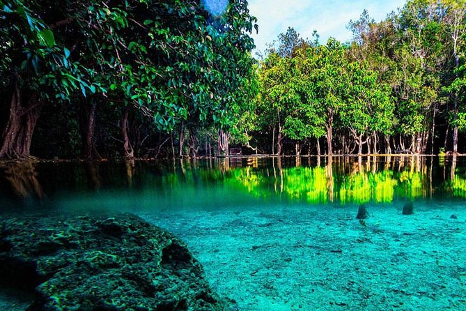 Jungle Tour to Emerald Pool, Krabi Hot Spring and Tiger Cave Temple - Namtok Ron: warm water under the trees