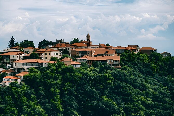 Kakheti Wine Tour and Discover Monasteries Vineyards Telavi - The Sighnaghi walls turn views into history