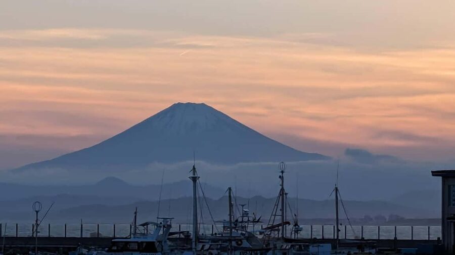 Kamakura: A Journey Through Medieval Japan - How much the tour really costs