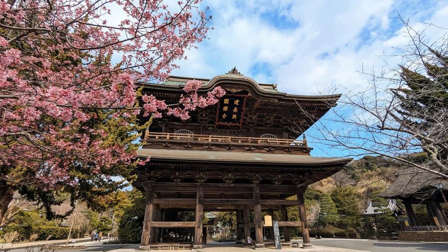 Kamakura: A Journey Through Medieval Japan - The walking level and who should book