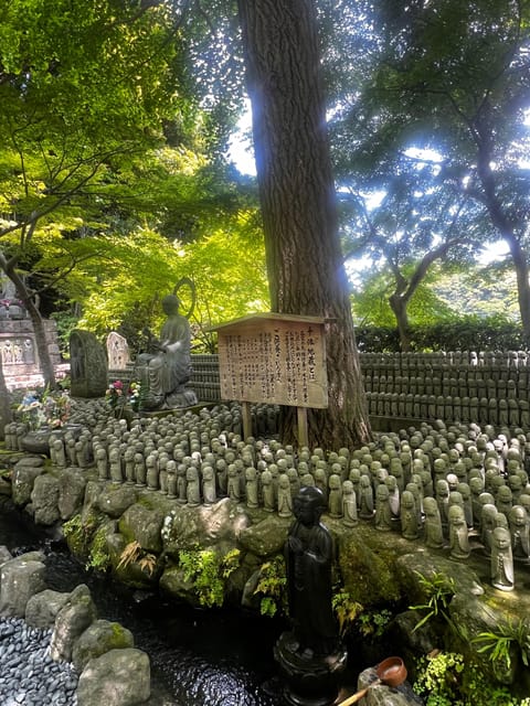 Kamakura and Enoshima: Private Guided Day Tour with Vehicle - Key points to know before booking