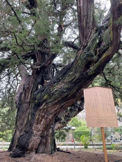 Kamakura; First Samurai Capital walking tour - Kamakurabori, an art form with a practical life