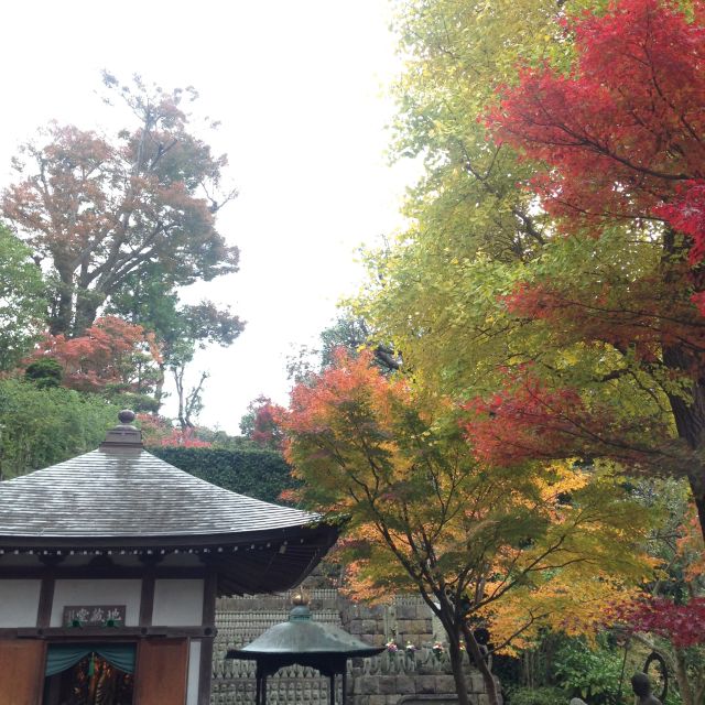 Kamakura: Great Buddha, Hase Temple, & Komachi Street Tour - Hase Temple, flowers, and figures that invite a wish