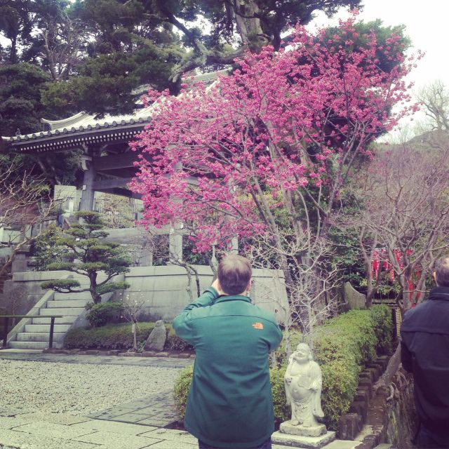 Kamakura: Great Buddha, Hase Temple, & Komachi Street Tour - Lunch with Kamakura flavors