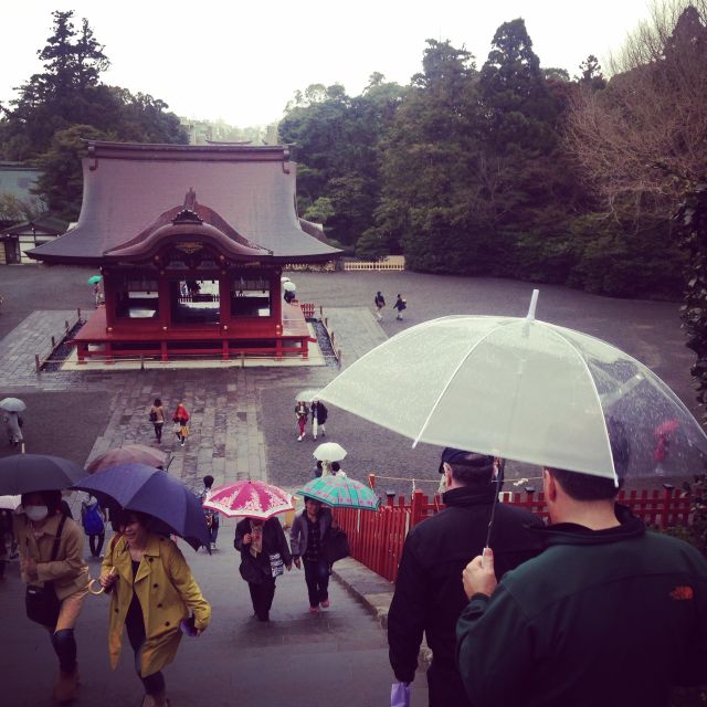 Kamakura: Great Buddha, Hase Temple, & Komachi Street Tour - The Enoden ride: a short trip with local character