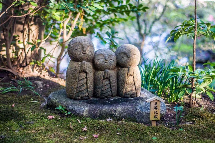 Kamakura Half Day Tour with a Local Expert Guide - Key points to know before booking