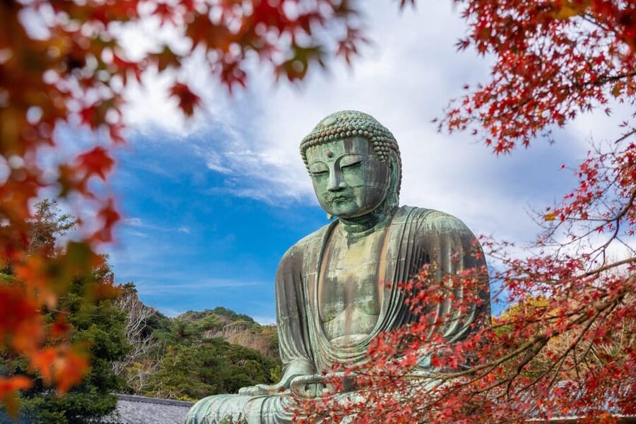 Kamakura Half Day Tour with a Local Expert Guide - Tsurugaoka Hachimangu Shrine and Kamakura’s story