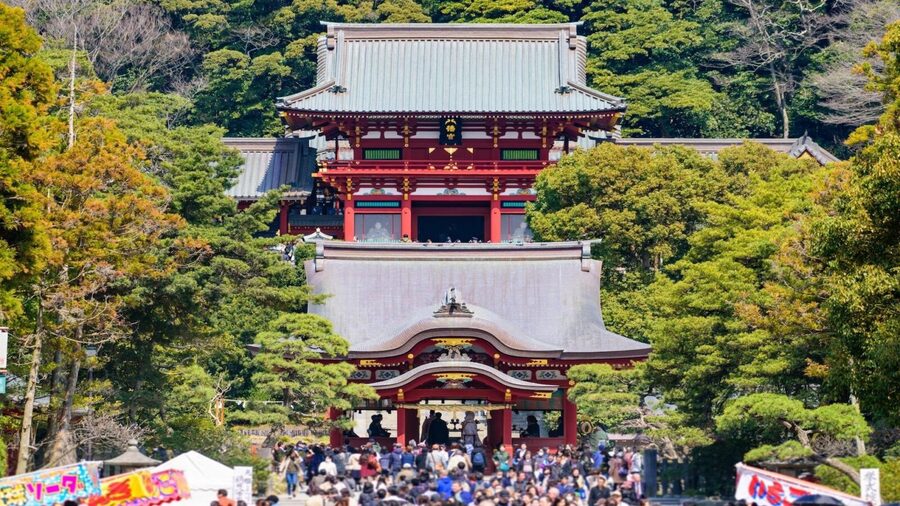 Kamakura Half Day Tour with a Local Expert Guide - Zen temples, gardens, and quieter corners