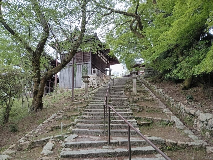 Kamakura Half Day Tour with a Local Expert Guide - What the $87 price really buys you