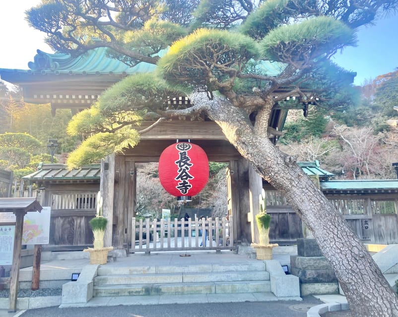 Kamakura: Half day Walking tour & Japanese sweets - Tsurugaoka Hachimangu and Kamakura’s samurai center