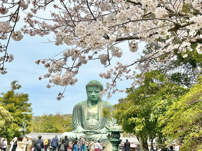 Kamakura: Half day Walking tour & Japanese sweets - Kamakura’s back streets and local shopping