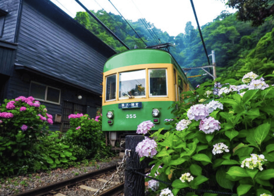 Kamakura Private Custom Tour with Local Guide - Quiet corners and local stories