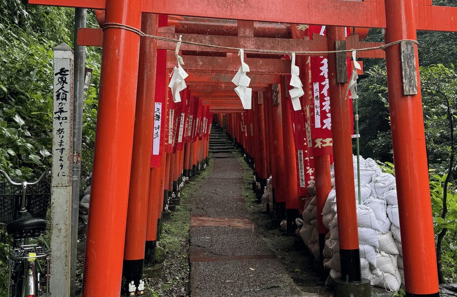 Kamakura Private Custom Tour with Local Guide - Who will get the most from this tour